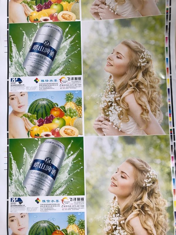 Inchiostro a base d'acqua a 6 colori in linea di tipo servo controllo Flexo macchina da stampa per la stampa