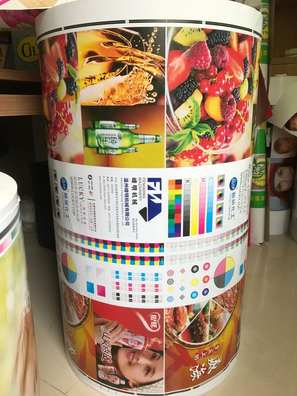 Inchiostro a base d'acqua a 6 colori in linea di tipo servo controllo Flexo macchina da stampa per la stampa