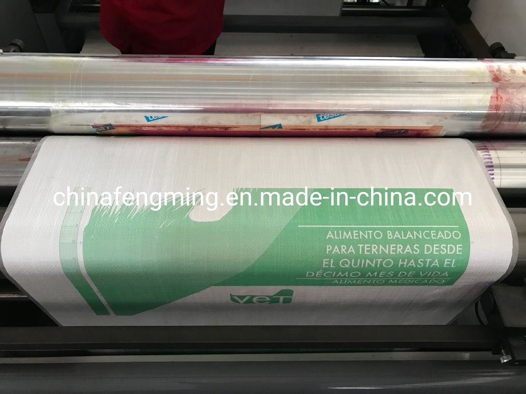 CE ISO9001 FM Serie Quattro colori Flexografica Stampa 200m/Min Ingranaggi 1/8cp