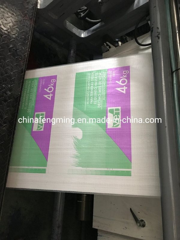 CE ISO9001 FM Serie Quattro colori Flexografica Stampa 200m/Min Ingranaggi 1/8cp
