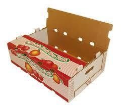 Macchina per la stampa flessibile a rotoli con diametro di rulli di 100 mm e 4 colori