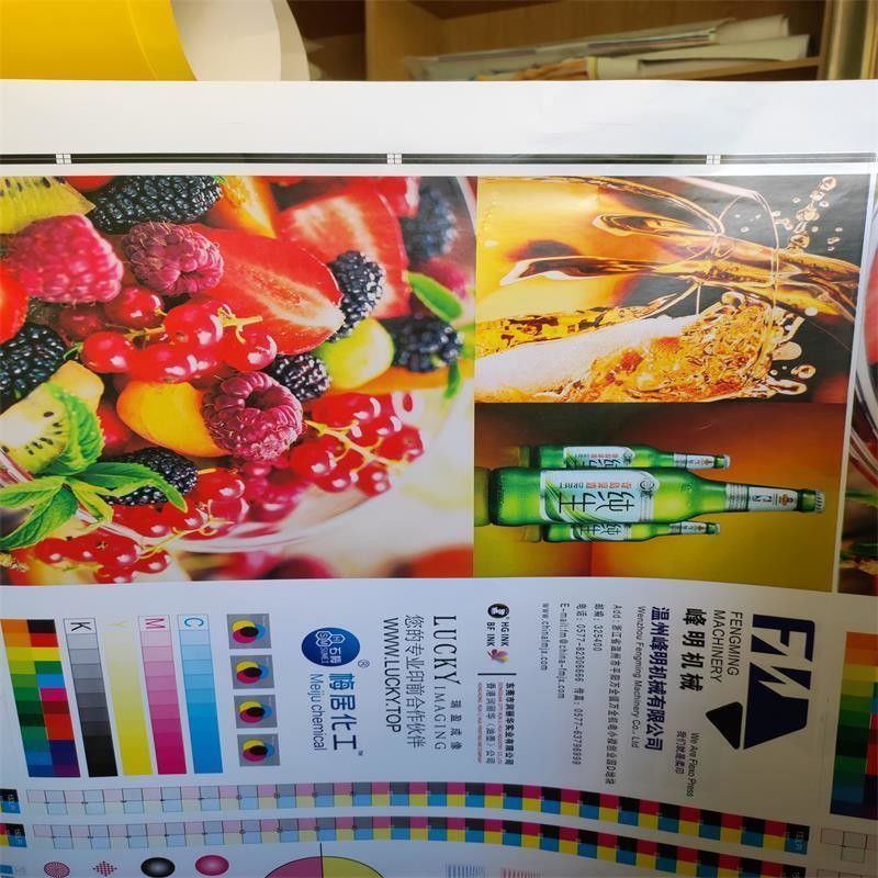 Richiesta personalizzata Alta velocità 6 colori unità tipo Flexo macchina da stampa per rotolo di carta