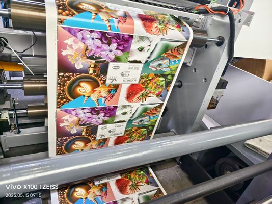 Alta velocità 8 colori Flexografica Stampa Flexo Grafica Stampa 8 colori Prezzo