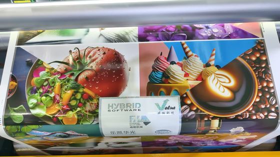 Automatica di alta qualità rotolo a rotolo tipo petalo Full Servo Modello Flexo in linea macchina di stampa